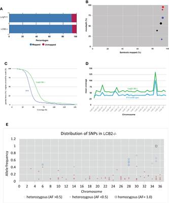 Genome deletions to overcome the directed loss of gene function in Leishmania